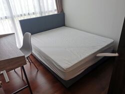 Normanton Park (D5), Apartment #558915511